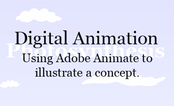 Digital Animation